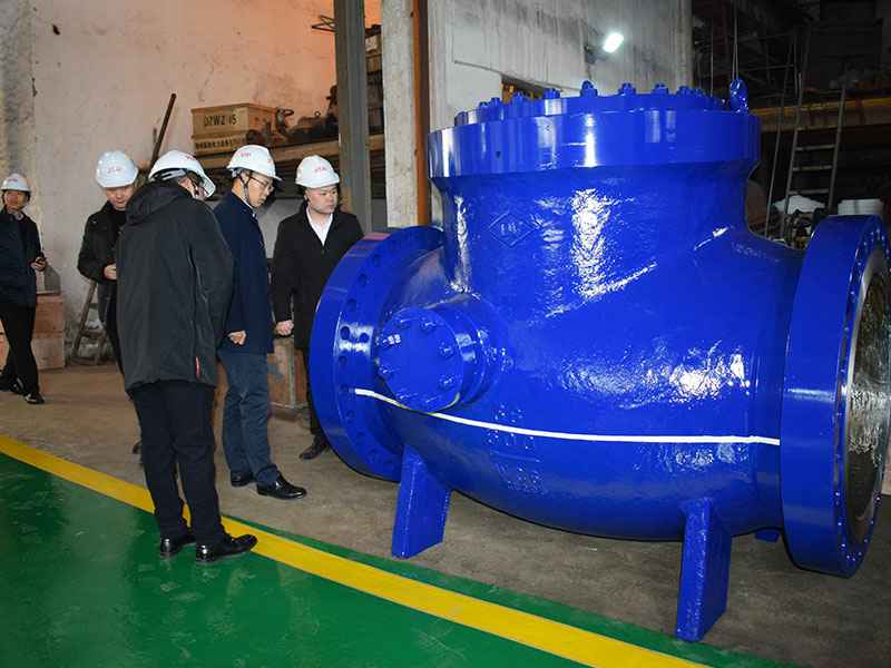 苗市长走访米兰体育·公司网站登录入口-米兰online(中国)集团